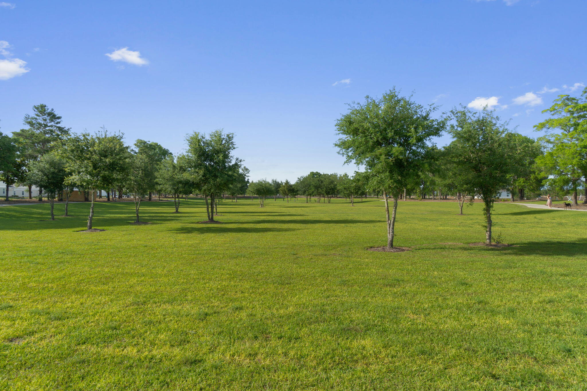 70 Parkside Street Freeport, FL 32439 - Photo 36 of 40 a view of a park