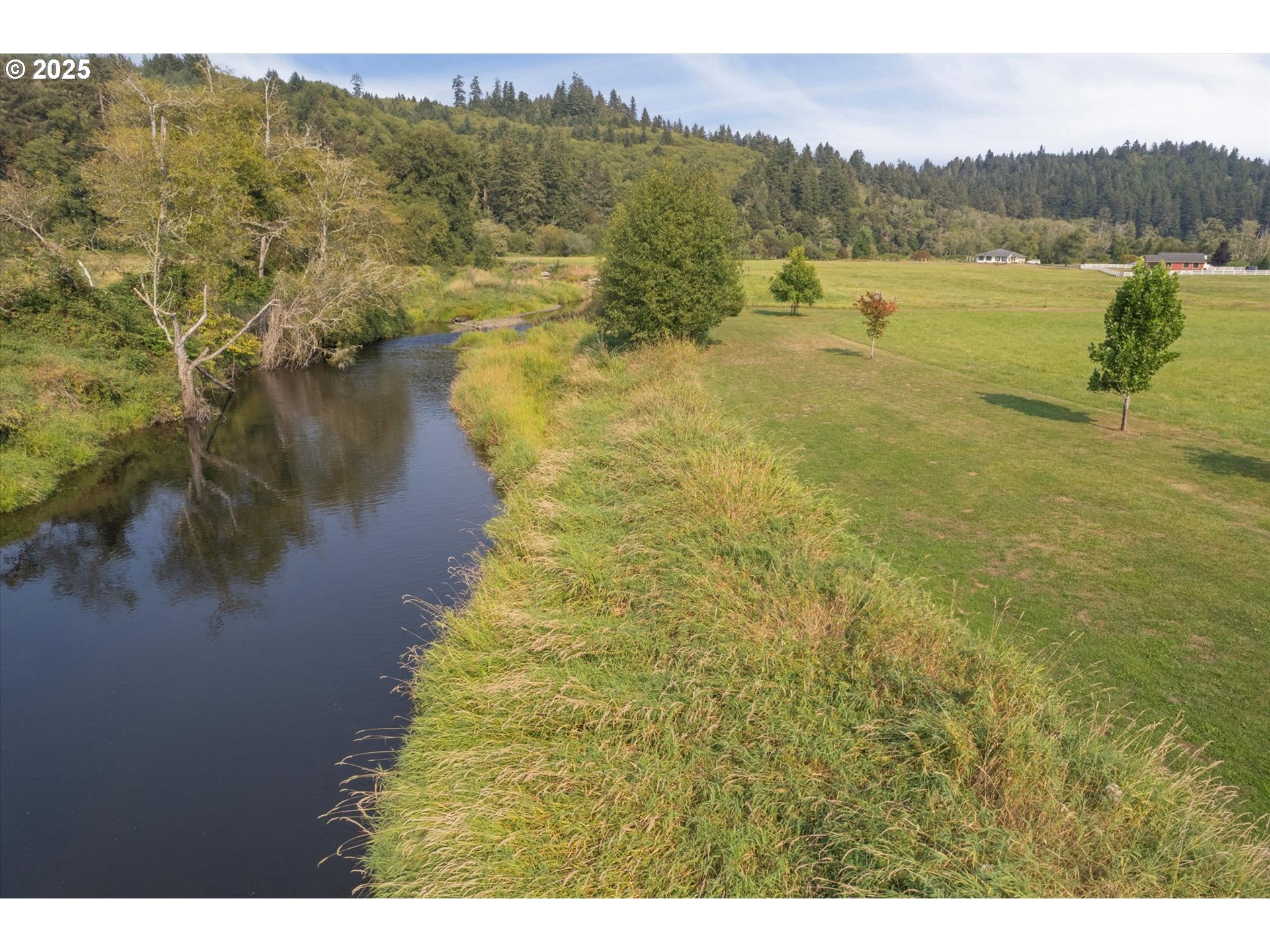 55 Monroe Drive Cathlamet, WA 98612 - Photo 42 of 48 Backyard