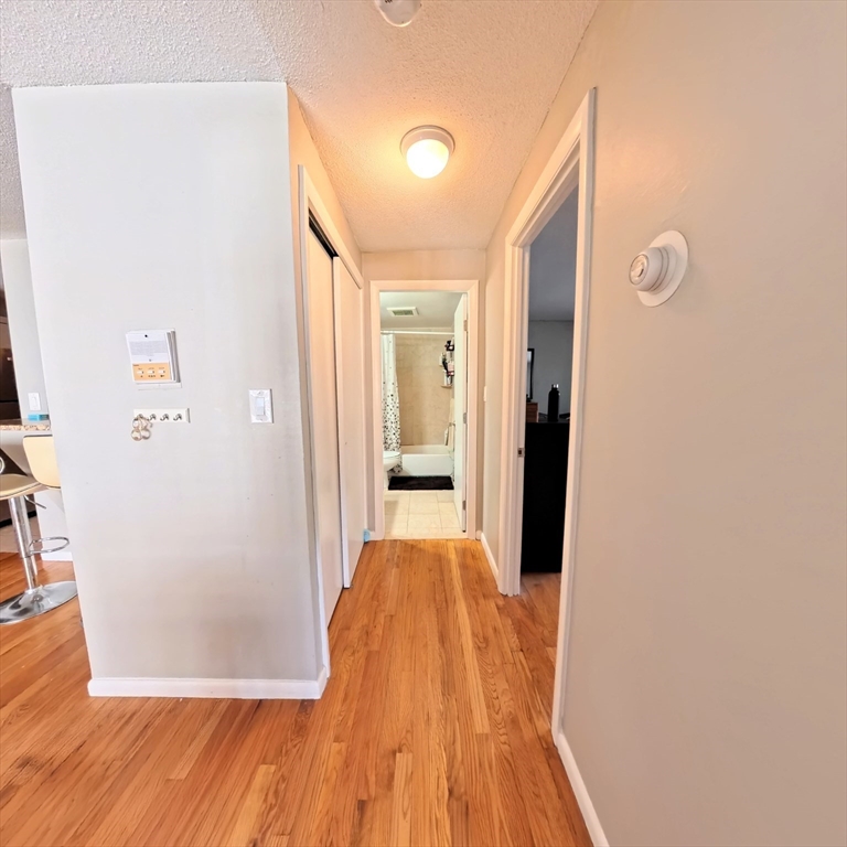 36 Bellvista Road, Unit 14 Boston, MA 02135 - Photo 7 of 16