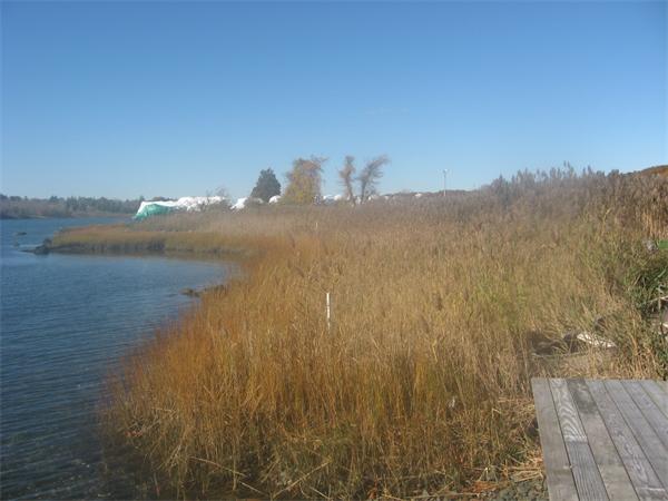 a view of lake and mountain