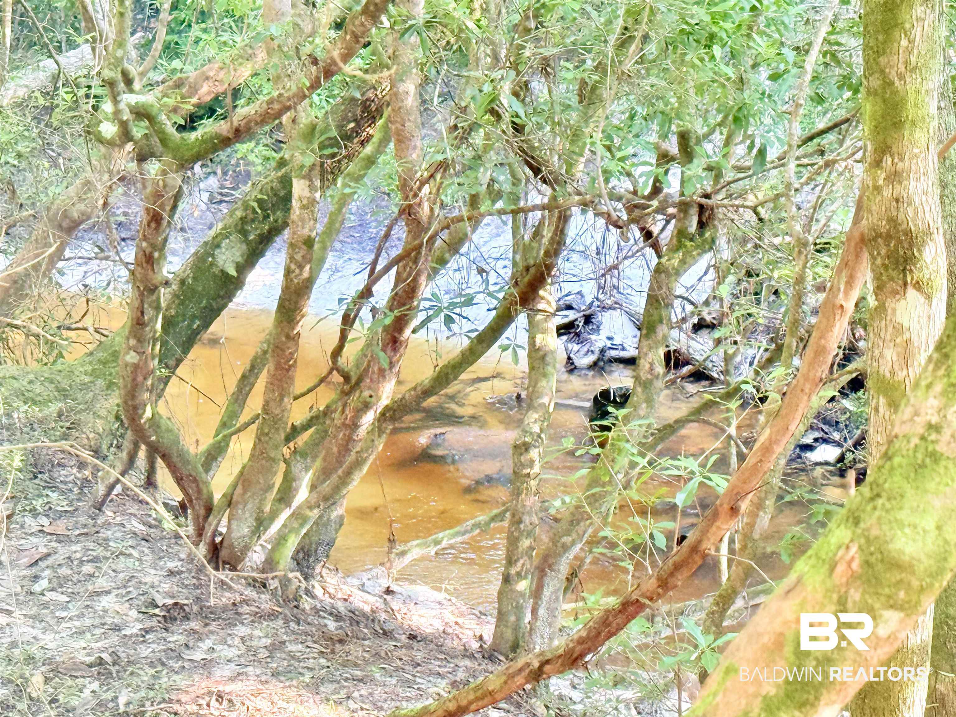 21305 River Road Robertsdale, AL 36567 - Photo 29 of 50 View of undeveloped land