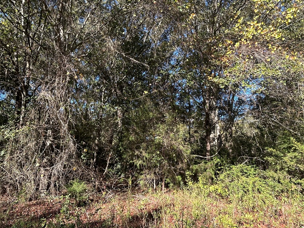140/ Cty Road Headland, AL 36345 - Photo 17 of 33