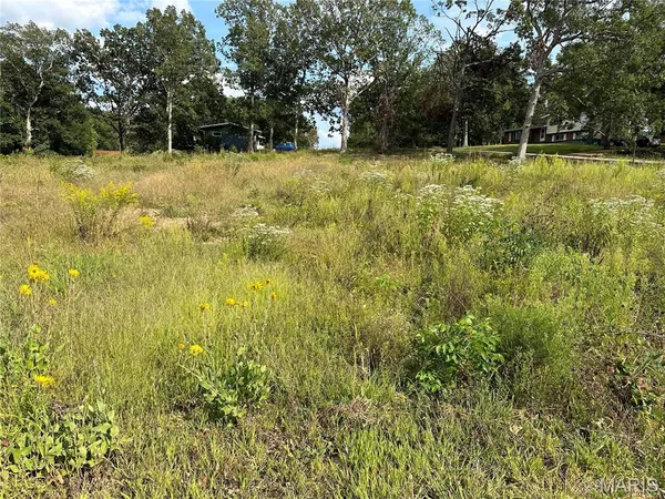$20,000 | 328 St Gerard Street, Bonne Terre, MO 63628
