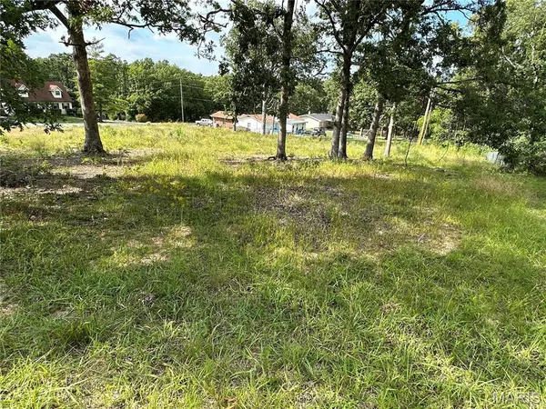 $20,000 | 328 St Gerard Street, Bonne Terre, MO 63628