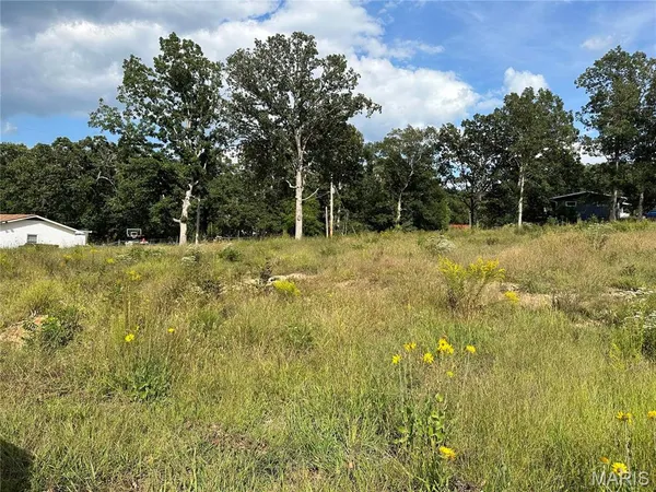 $20,000 | 328 St Gerard Street, Bonne Terre, MO 63628
