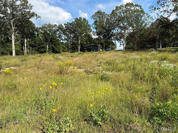 $20,000 | 328 St Gerard Street, Bonne Terre, MO 63628