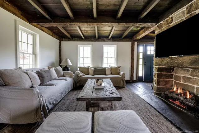 a living room with furniture and a potted plant