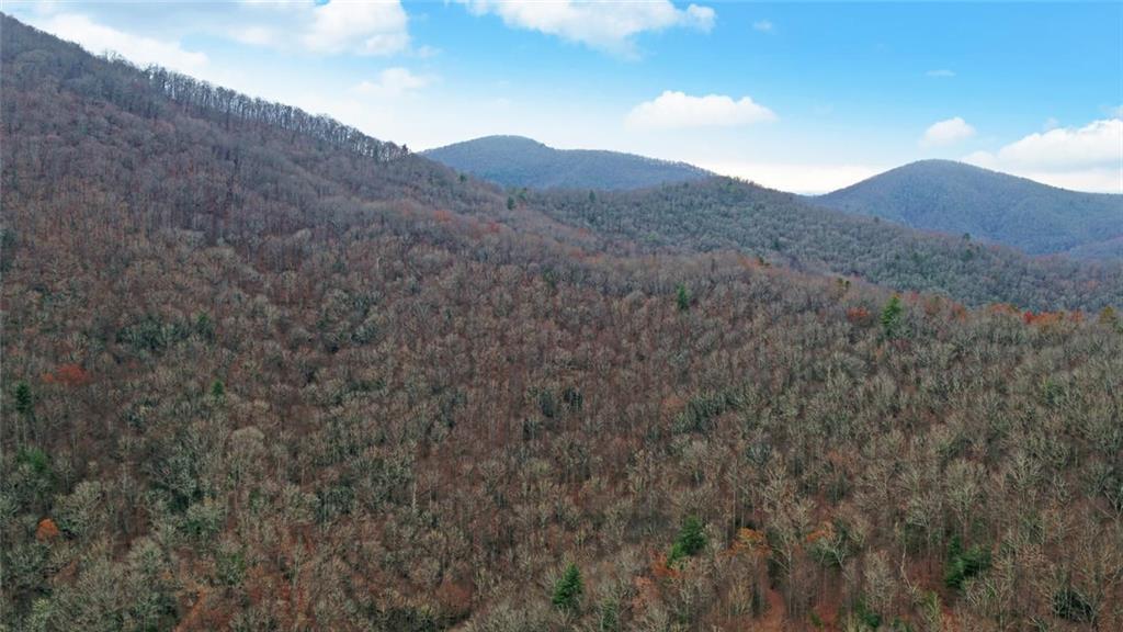 Undisclosed Address Rabun Gap, GA 30568 - Photo 95 of 100