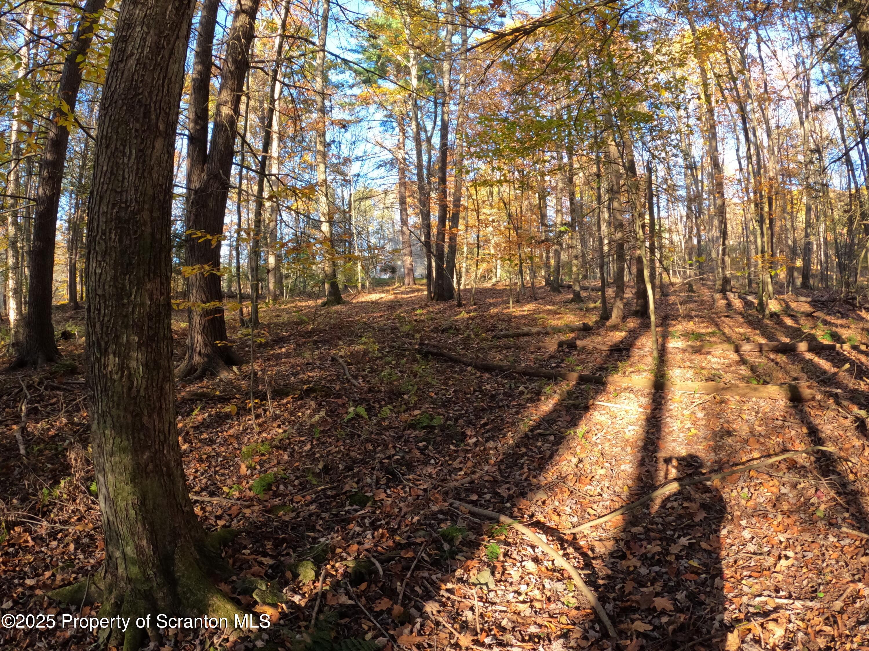 Dark Hollow Road Tunkhannock, PA 18657 - Photo 11 of 20 2025-10-27 16.21.31