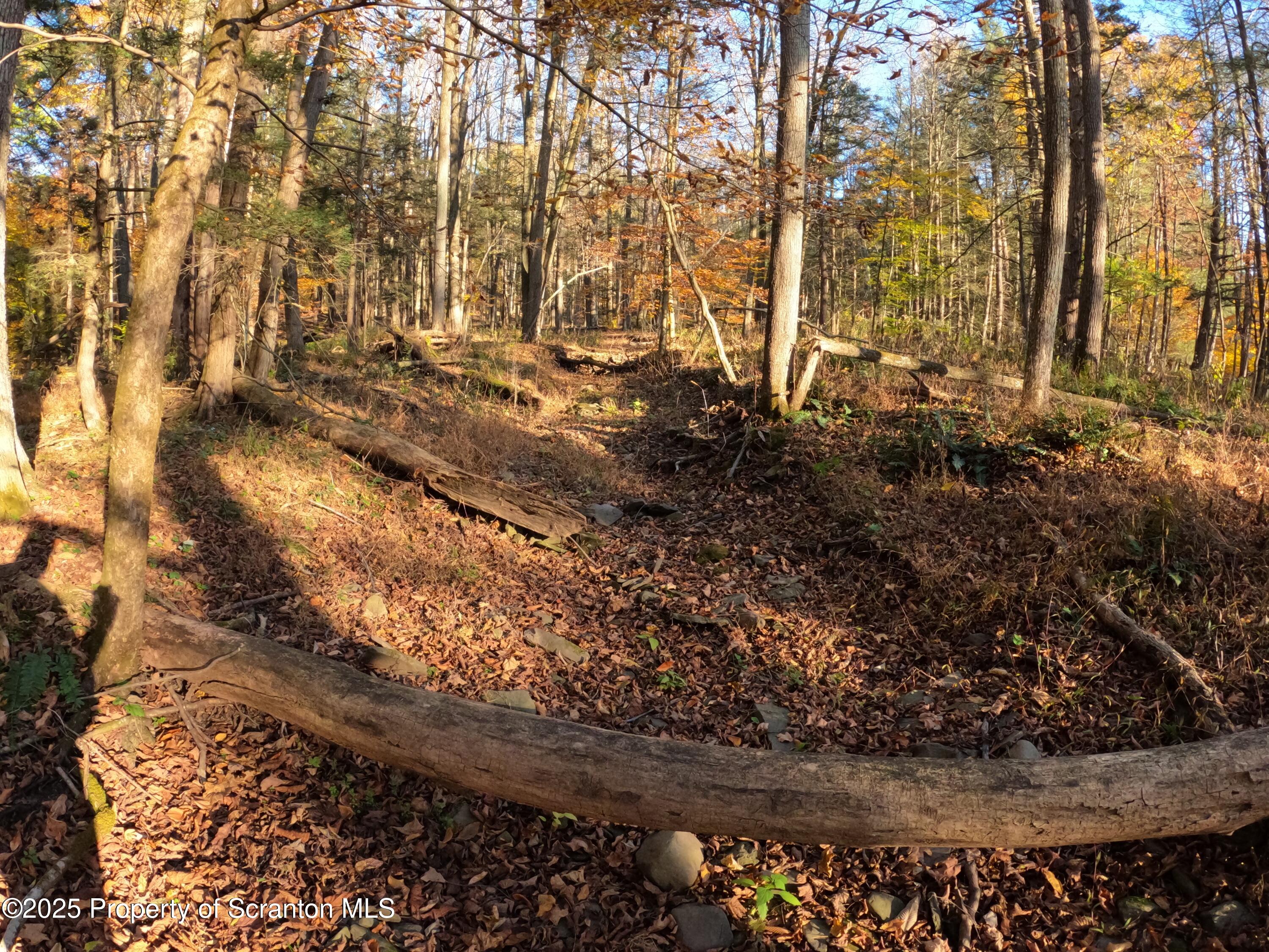 Dark Hollow Road Tunkhannock, PA 18657 - Photo 12 of 20 2025-10-27 16.24.14