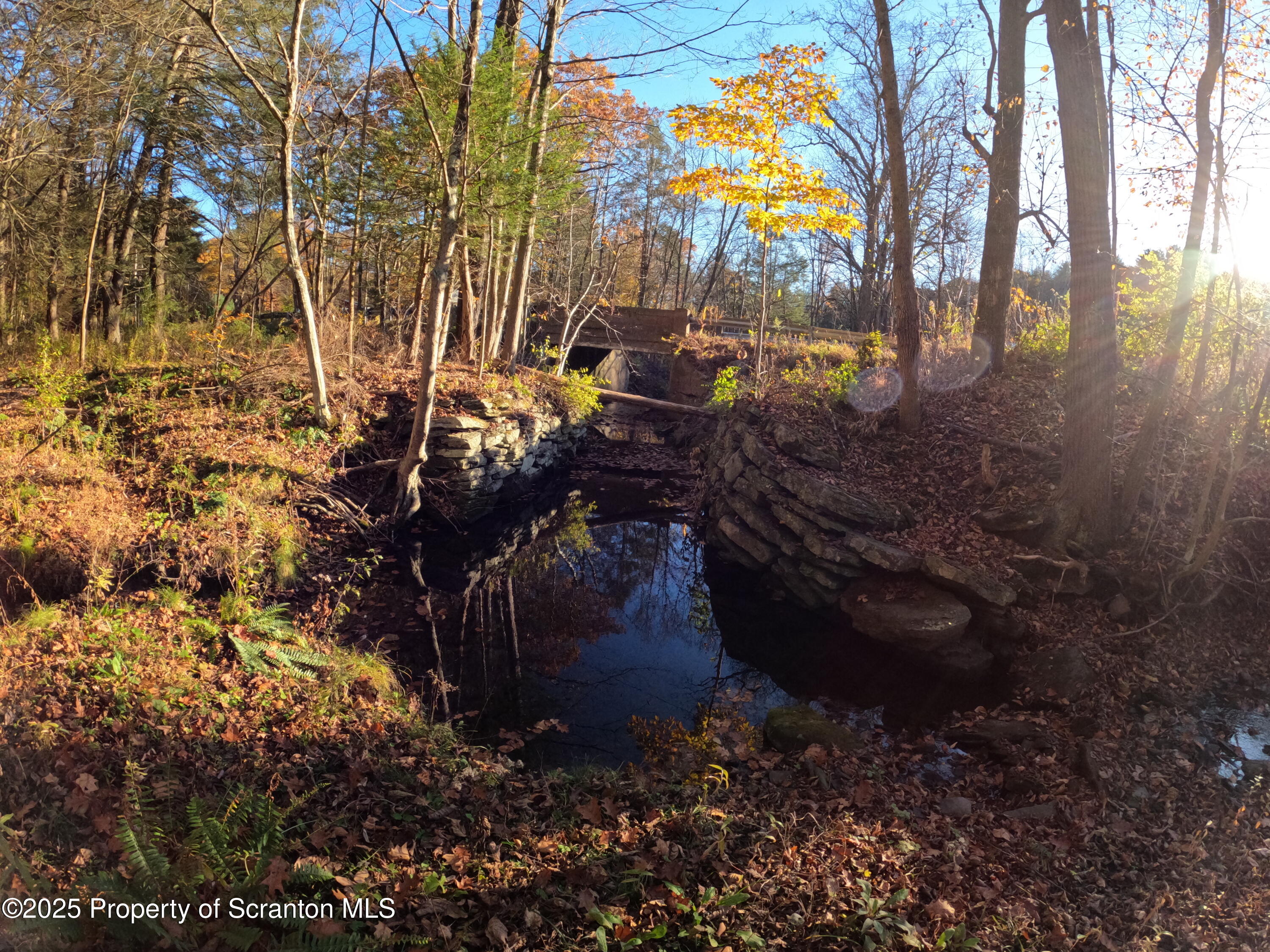 Dark Hollow Road Tunkhannock, PA 18657 - Photo 13 of 20 2025-10-27 16.26.05