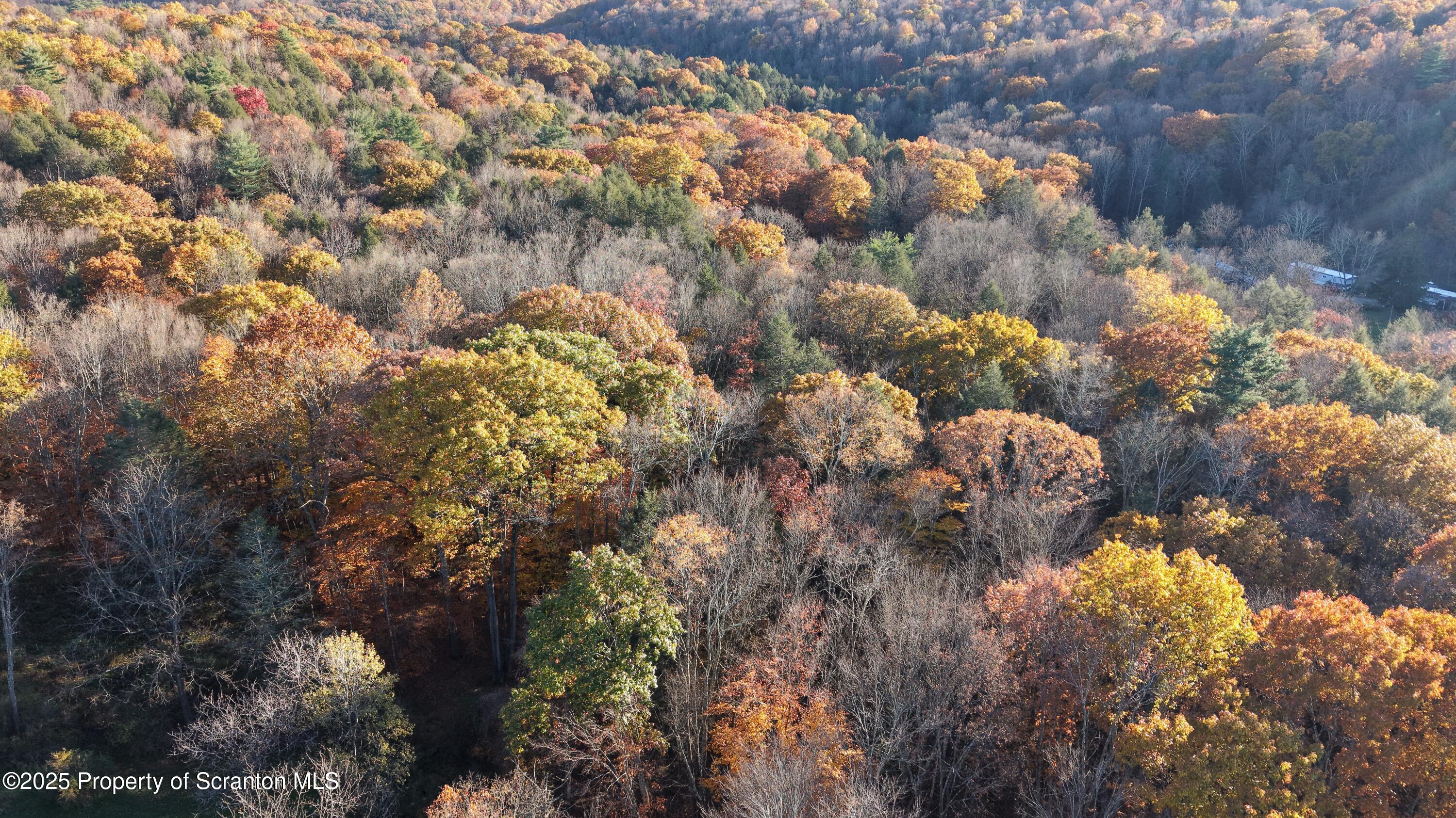 Dark Hollow Road Tunkhannock, PA 18657 - Photo 4 of 20 2025-10-27 16.52.57
