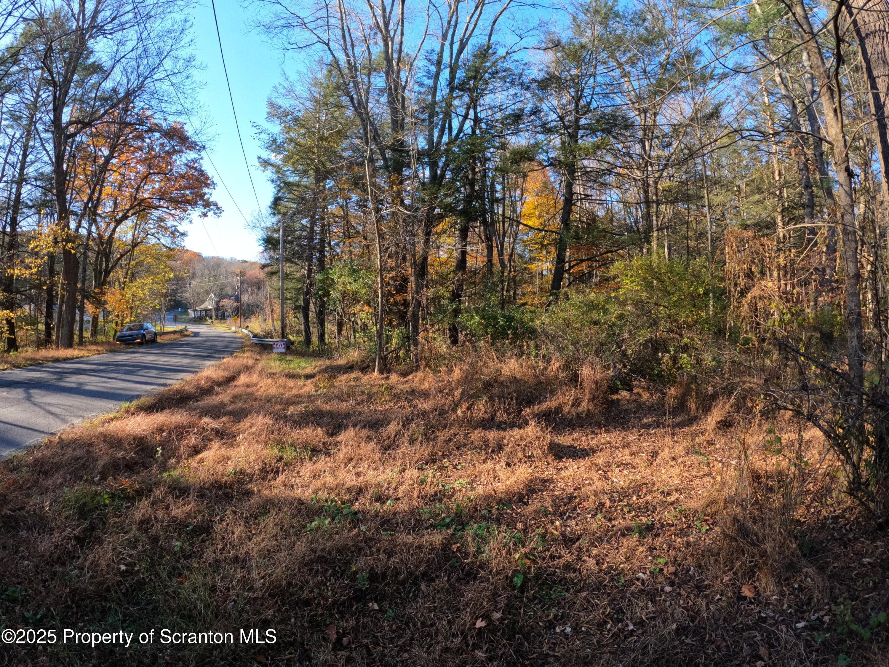 Dark Hollow Road Tunkhannock, PA 18657 - Photo 6 of 20 2025-10-27 16.15.17