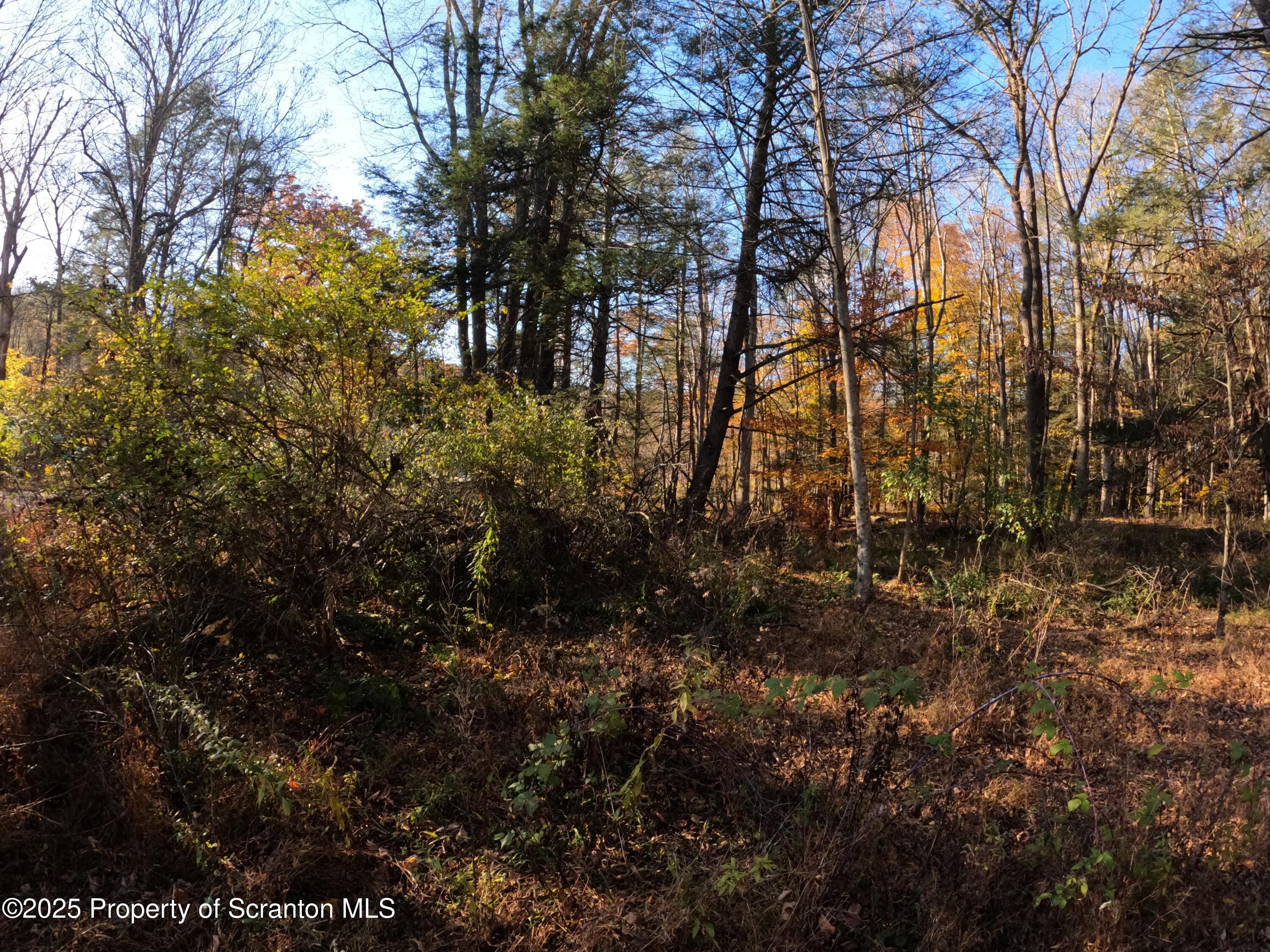 Dark Hollow Road Tunkhannock, PA 18657 - Photo 7 of 20 2025-10-27 16.16.02