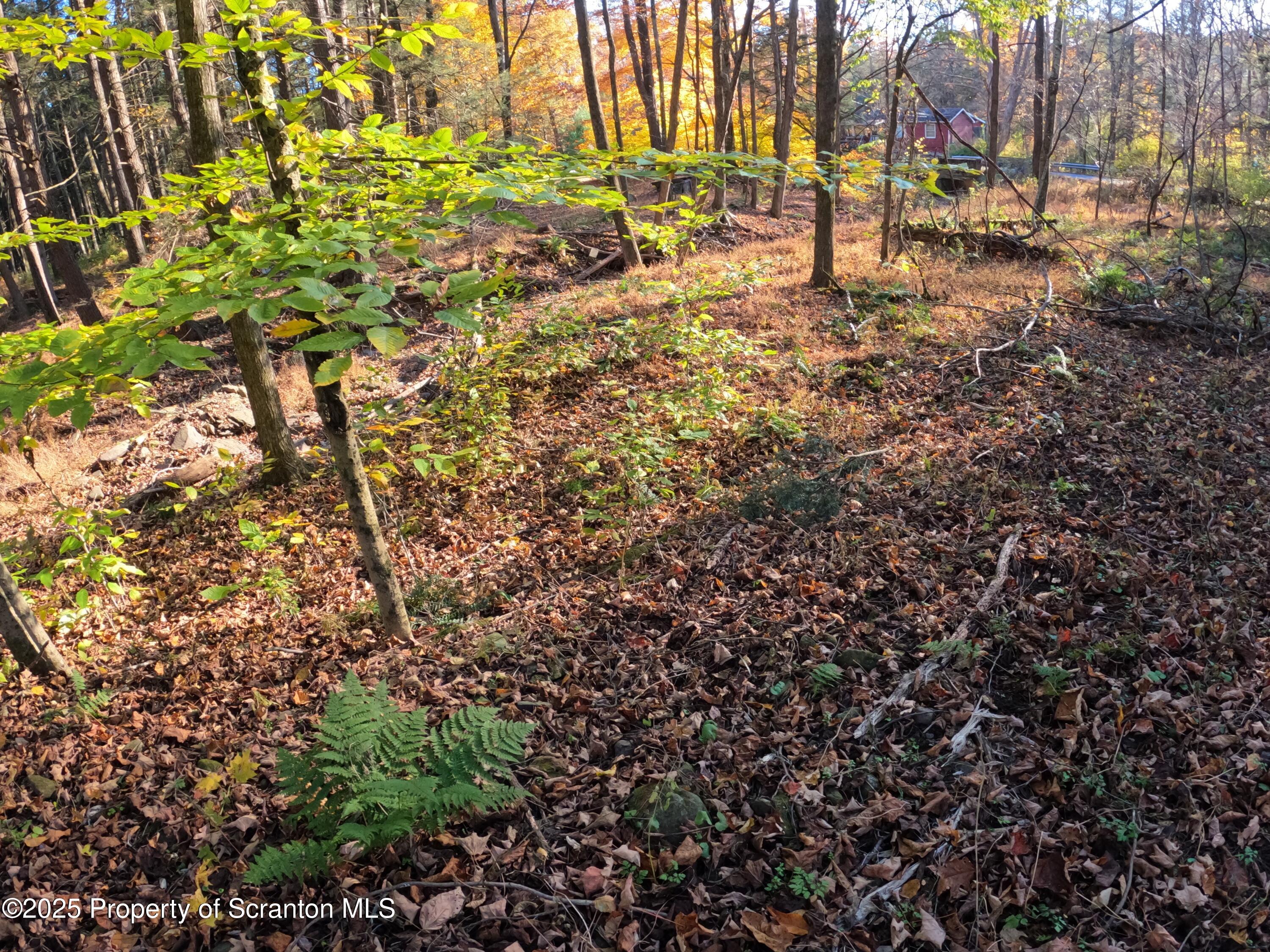 Dark Hollow Road Tunkhannock, PA 18657 - Photo 8 of 20 2025-10-27 16.16.52