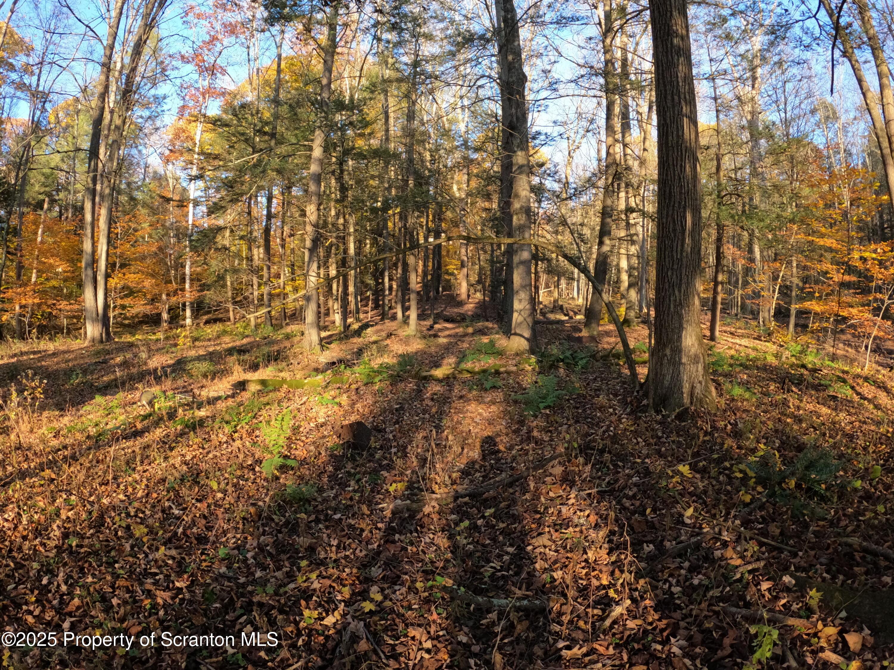 Dark Hollow Road Tunkhannock, PA 18657 - Photo 9 of 20 2025-10-27 16.17.16