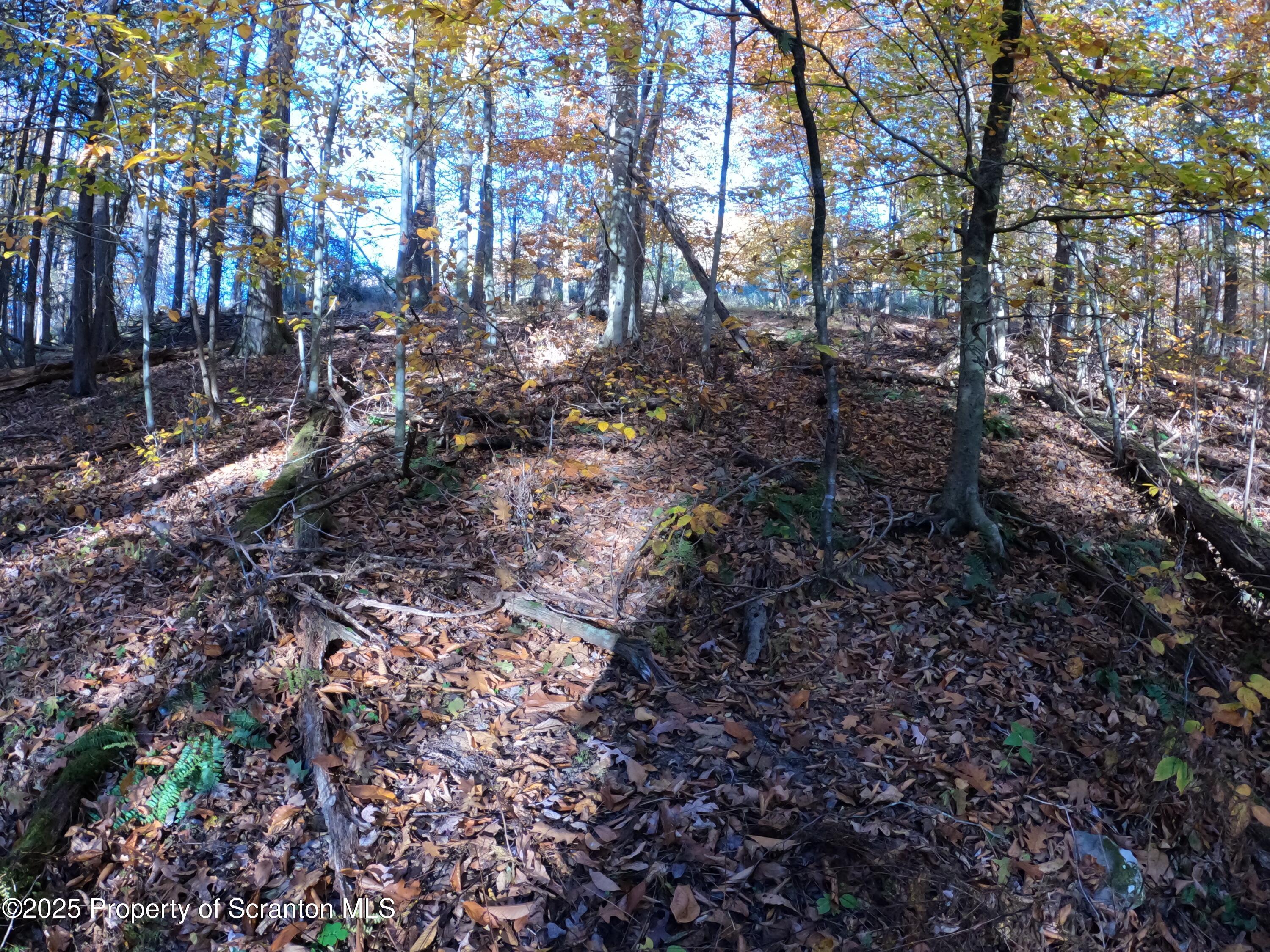 Dark Hollow Road Tunkhannock, PA 18657 - Photo 10 of 20 2025-10-27 16.19.19