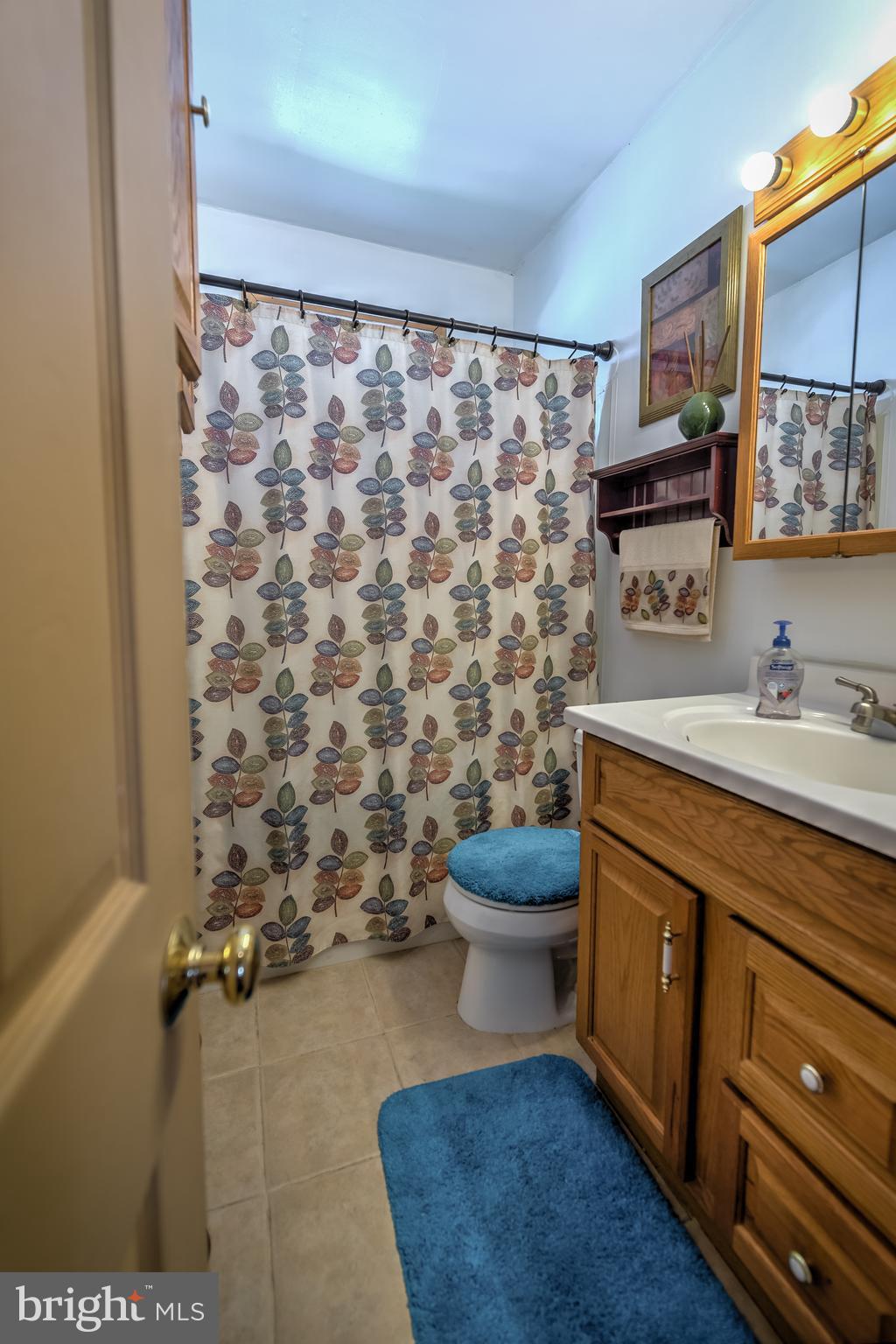 3131 Willoughby Road Baltimore, MD 21234 - Photo 22 of 29 Plenty of storage