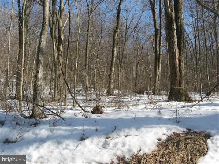 0 Brabson Road Nottingham, PA 19362 - Photo 1 of 1