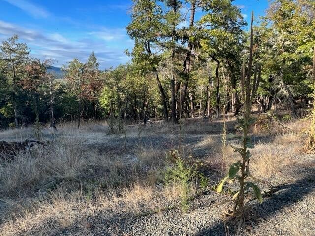 Large open area