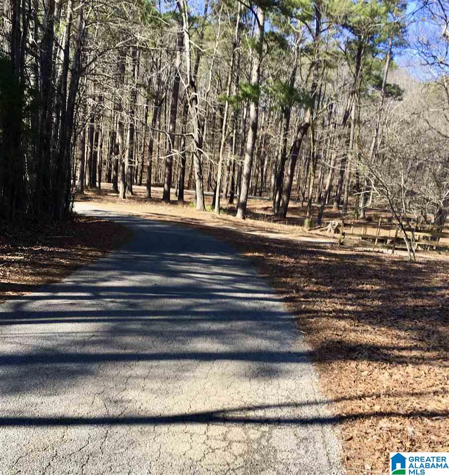 7465 Rodgers Road Southwest Leeds, AL 35094 - Photo 4 of 25