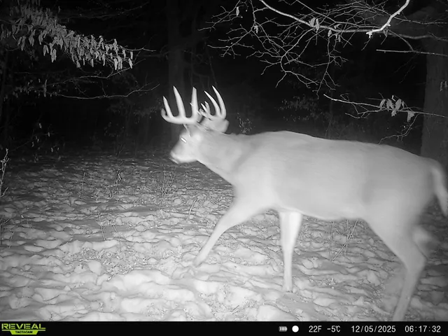 $385,000 | Tbd 294th Street, Sebeka, MN 56477