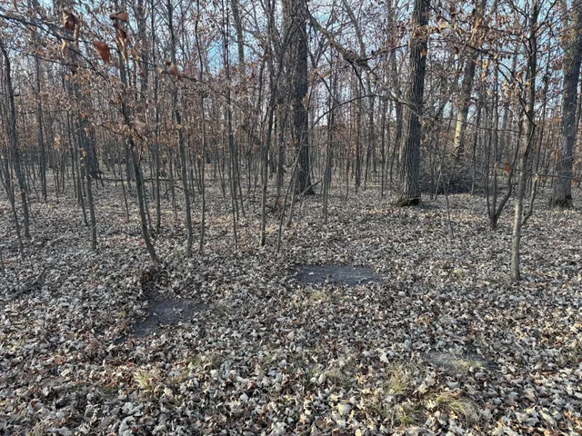 $385,000 | Tbd 294th Street, Sebeka, MN 56477