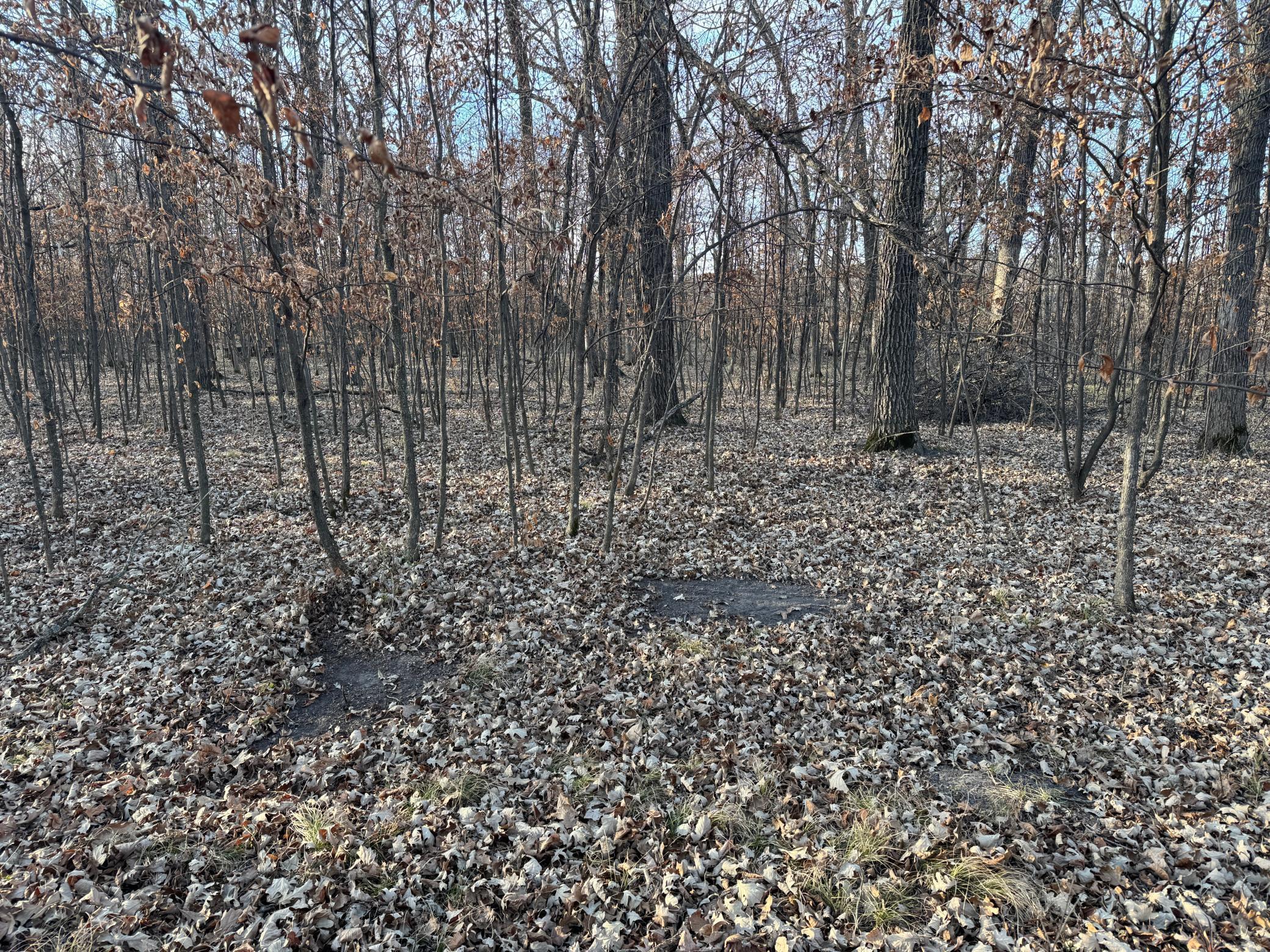 Tbd 294th Street Sebeka, MN 56477 - Photo 11 of 37