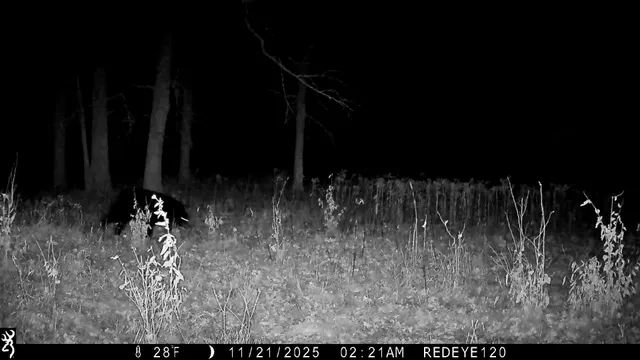 $385,000 | Tbd 294th Street, Sebeka, MN 56477