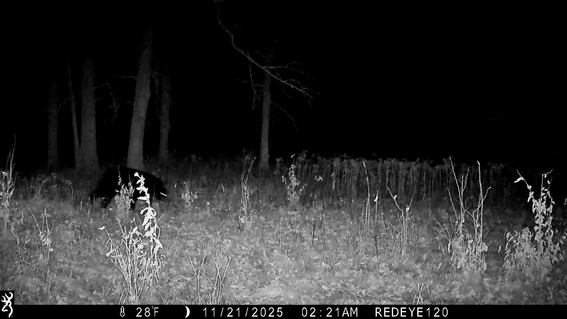 Tbd 294th Street Sebeka, MN 56477 - Photo 13 of 37