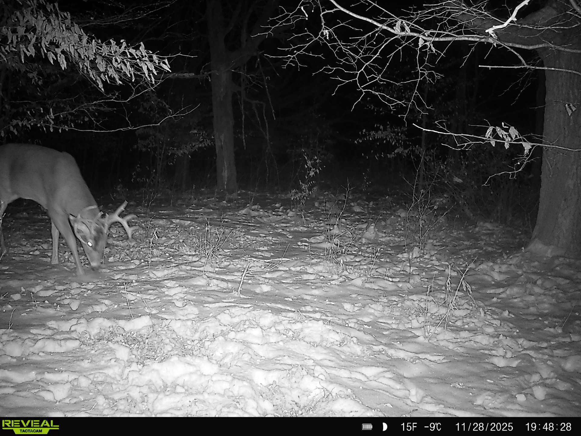 Tbd 294th Street Sebeka, MN 56477 - Photo 15 of 37