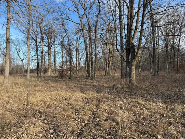 $385,000 | Tbd 294th Street, Sebeka, MN 56477