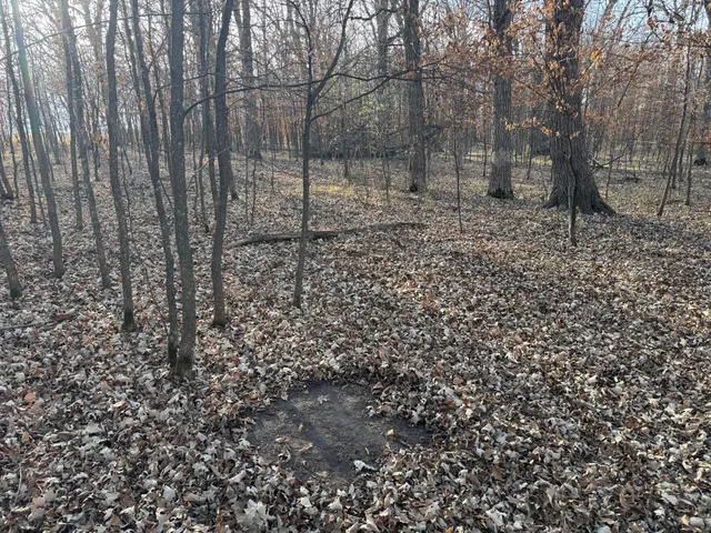 $385,000 | Tbd 294th Street, Sebeka, MN 56477