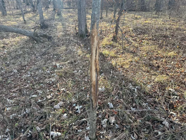 $385,000 | Tbd 294th Street, Sebeka, MN 56477