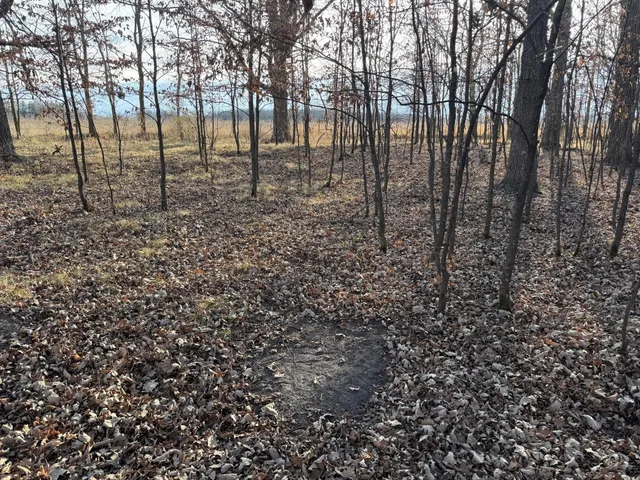 $385,000 | Tbd 294th Street, Sebeka, MN 56477