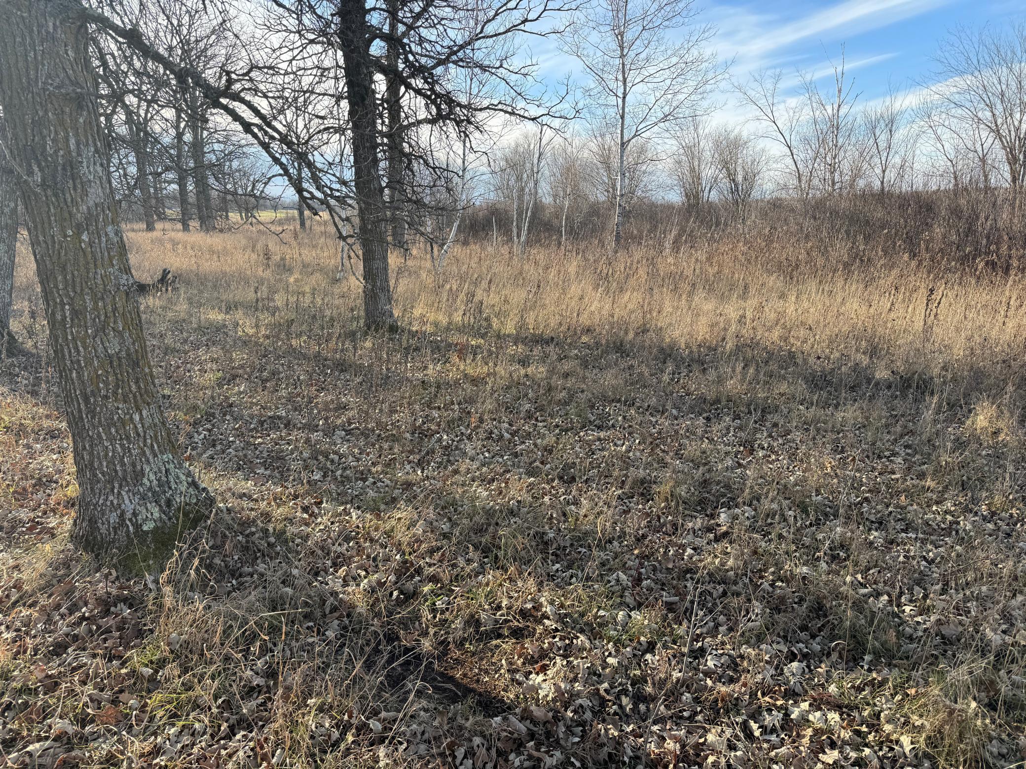 Tbd 294th Street Sebeka, MN 56477 - Photo 25 of 37