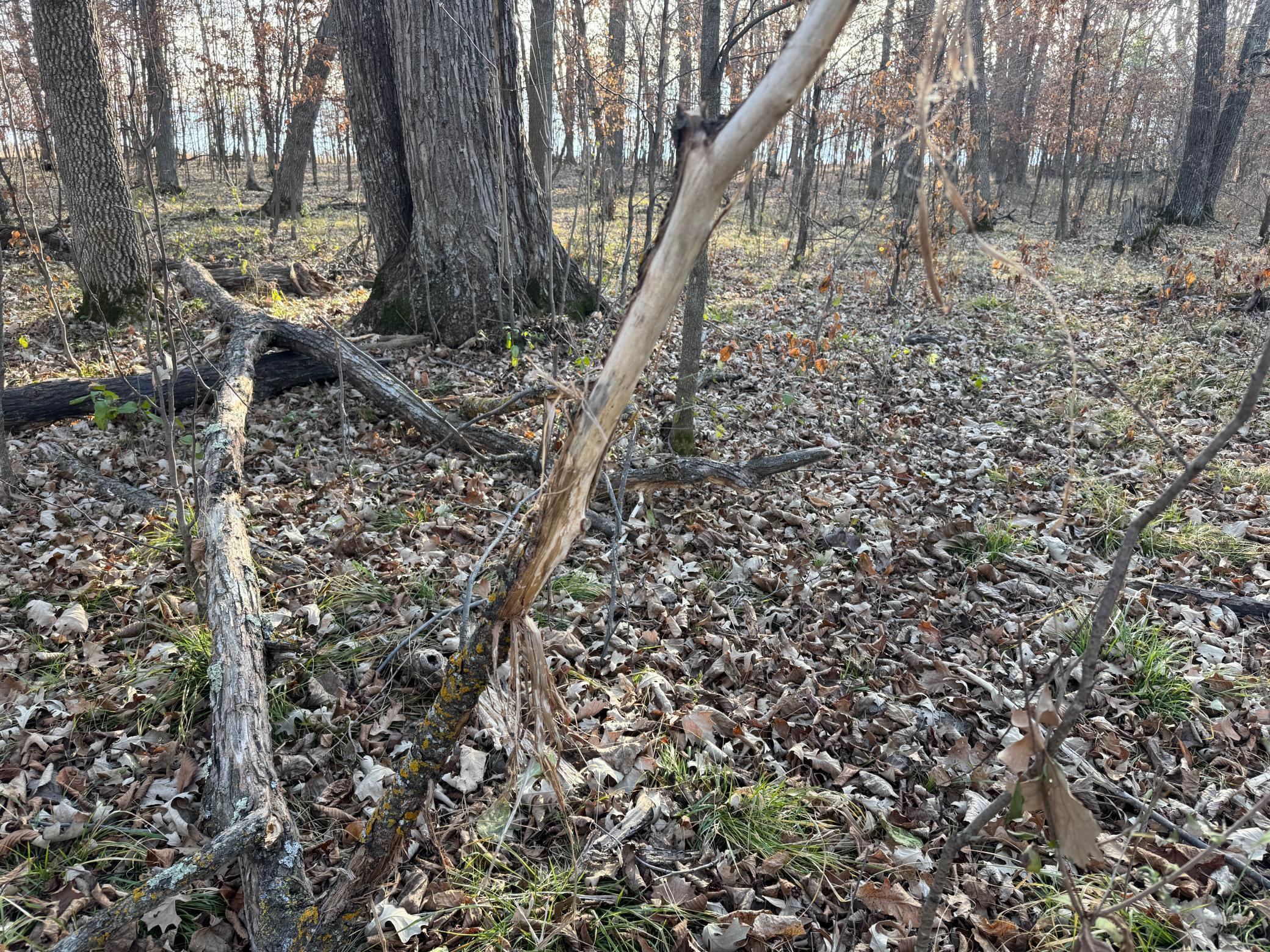 Tbd 294th Street Sebeka, MN 56477 - Photo 27 of 37