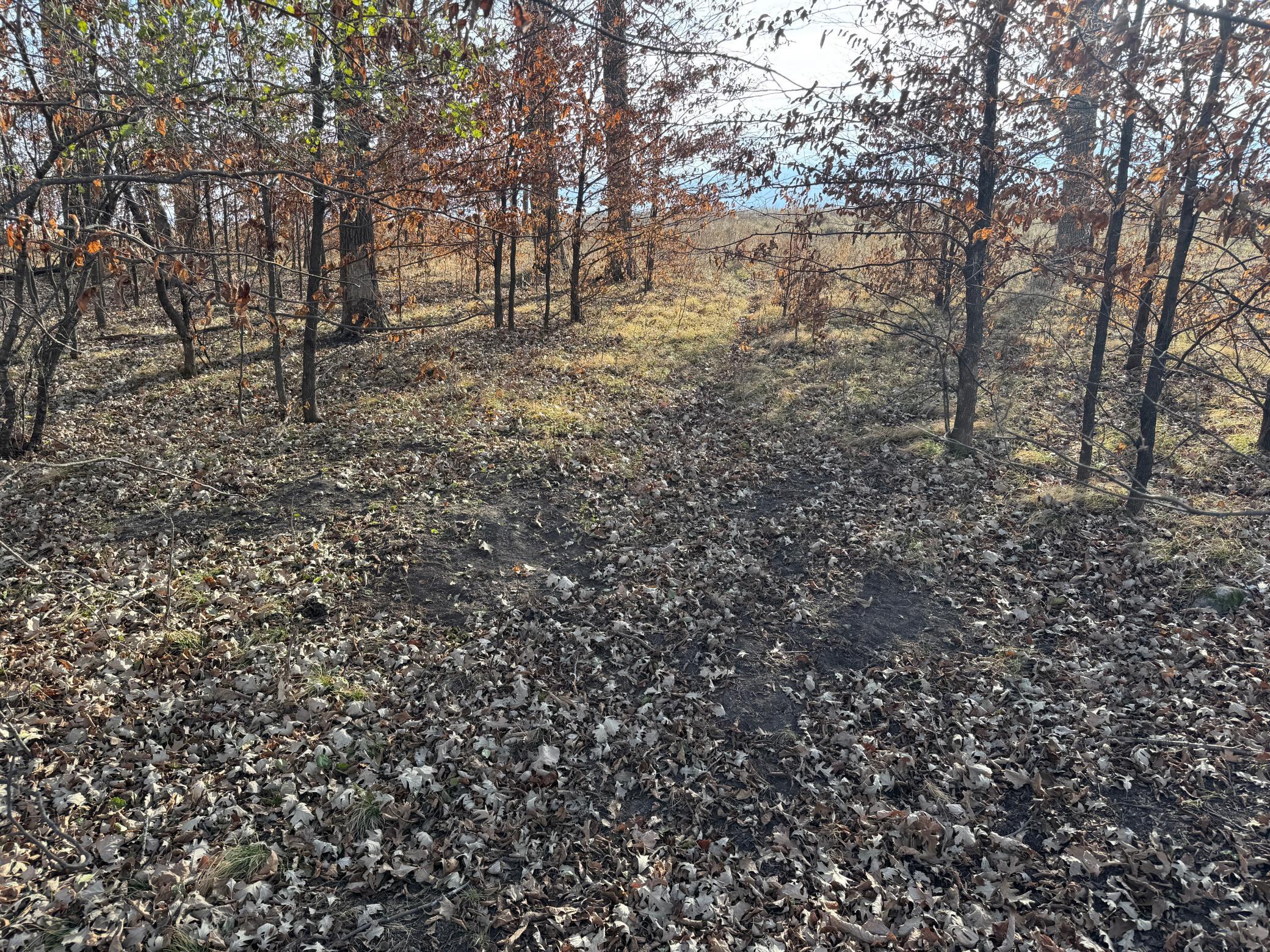 Tbd 294th Street Sebeka, MN 56477 - Photo 29 of 37