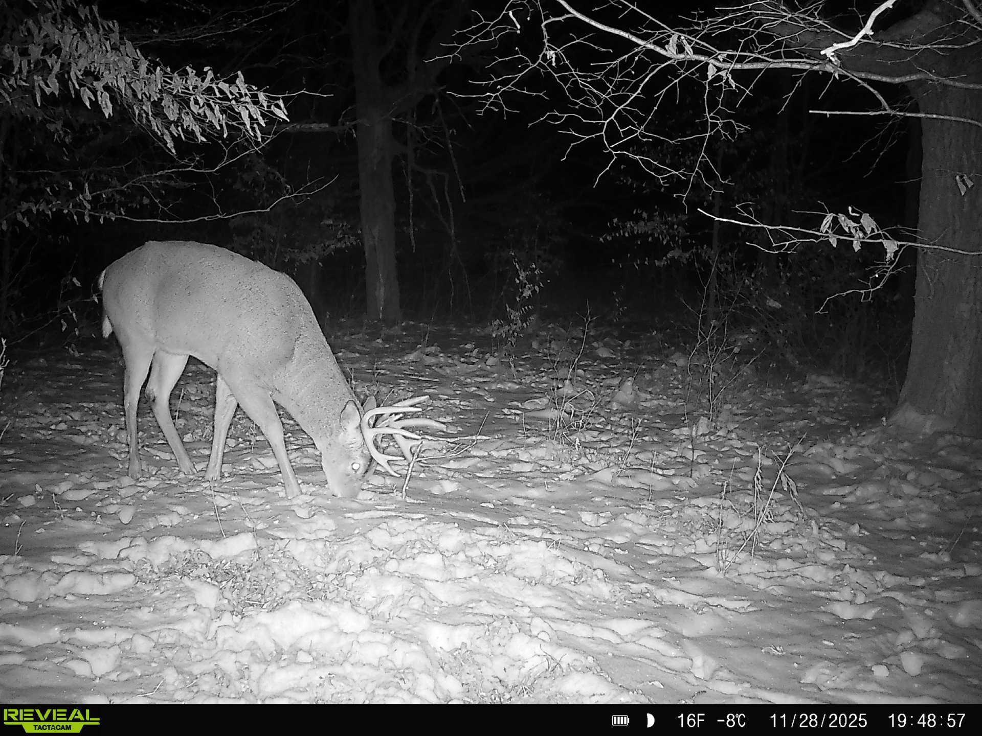 Tbd 294th Street Sebeka, MN 56477 - Photo 4 of 37