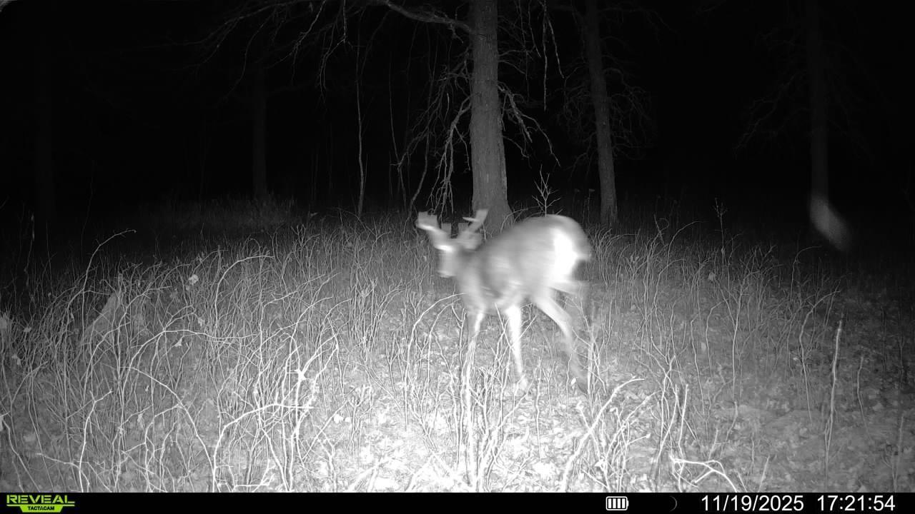 Tbd 294th Street Sebeka, MN 56477 - Photo 5 of 37