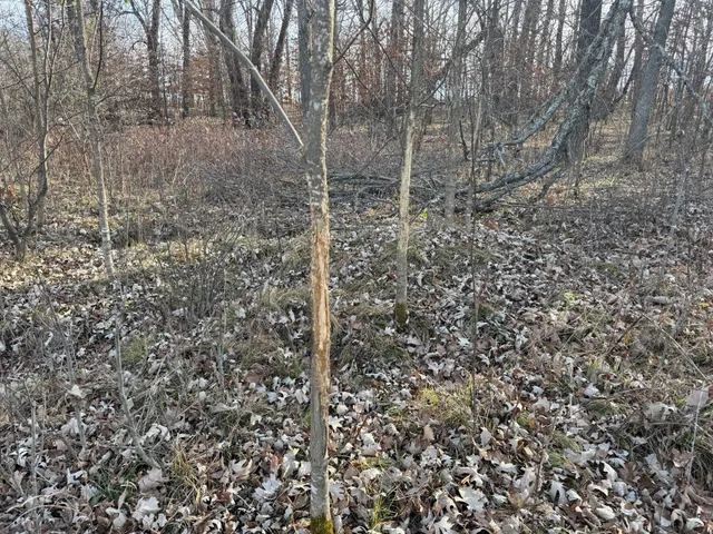 $385,000 | Tbd 294th Street, Sebeka, MN 56477