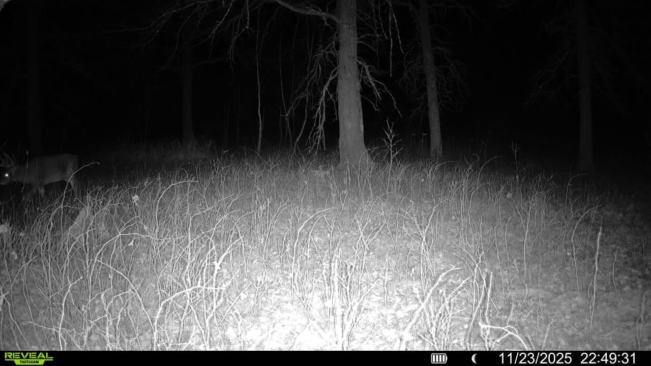 Tbd 294th Street Sebeka, MN 56477 - Photo 9 of 37