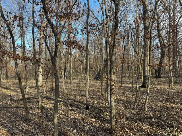 $385,000 | Tbd 294th Street, Sebeka, MN 56477