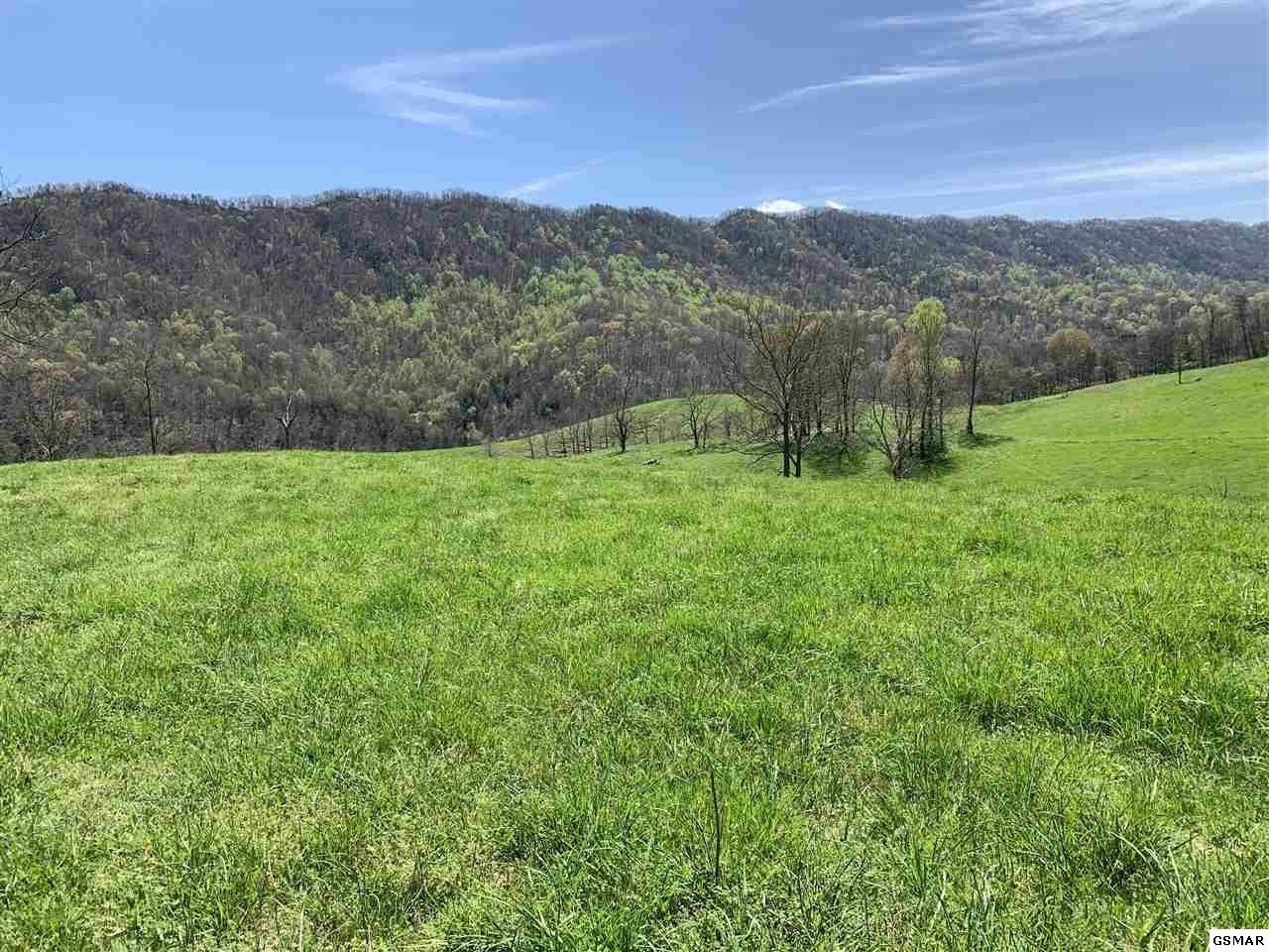 617 War Creek Road Eidson, TN 37731 - Photo 11 of 35