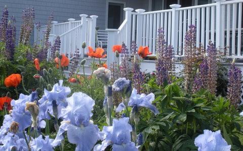 20 Muirfield Road Cumberland Center, ME 04021 - Photo 13 of 16 Expert landscaping offers perennials...