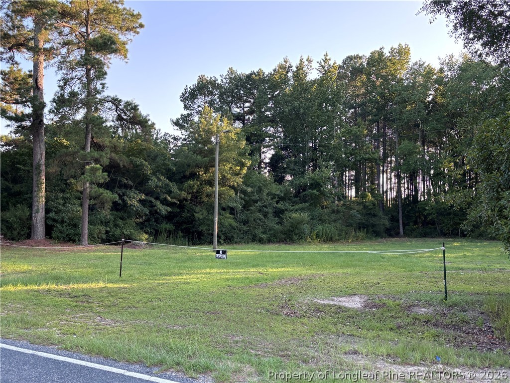 595 Shaw Road St. Pauls, NC 28384 - Photo 2 of 29