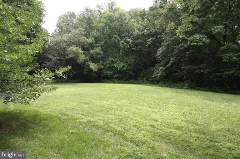 9224 Rockefeller Lane Springfield, VA 22153 - Photo 22 of 25 Wooded parkland on side of house