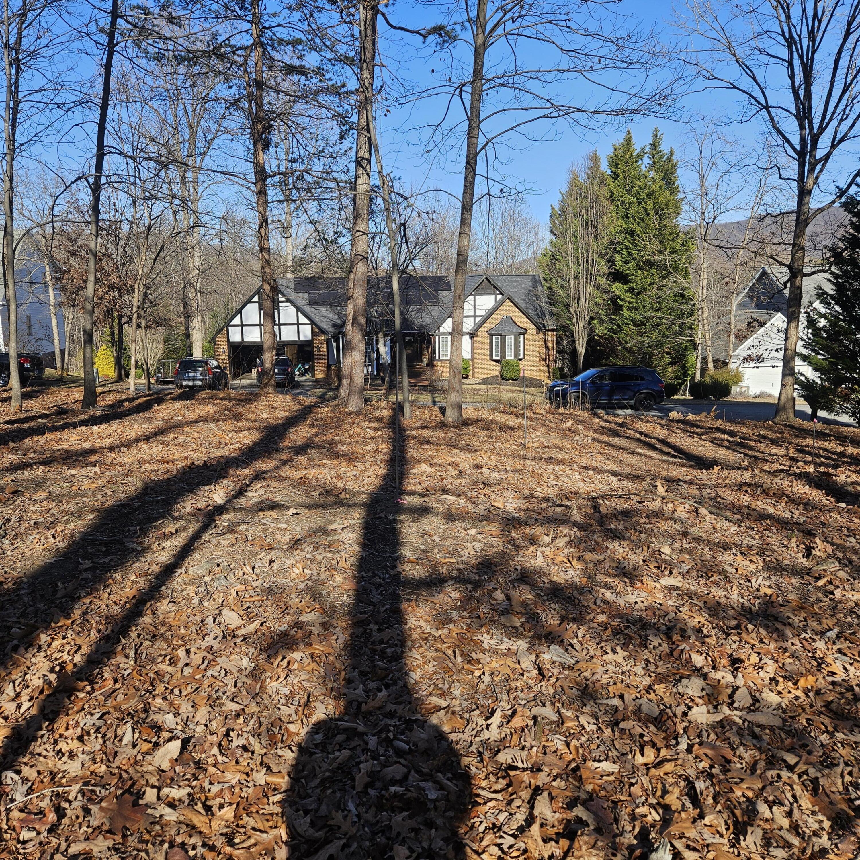 Lot 59 Macgregor Drive Blue Ridge, VA 24064 - Photo 3 of 5 a view of a yard with plants and trees