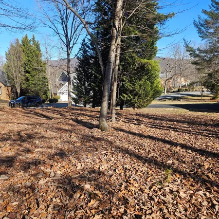 a view of a backyard of the house