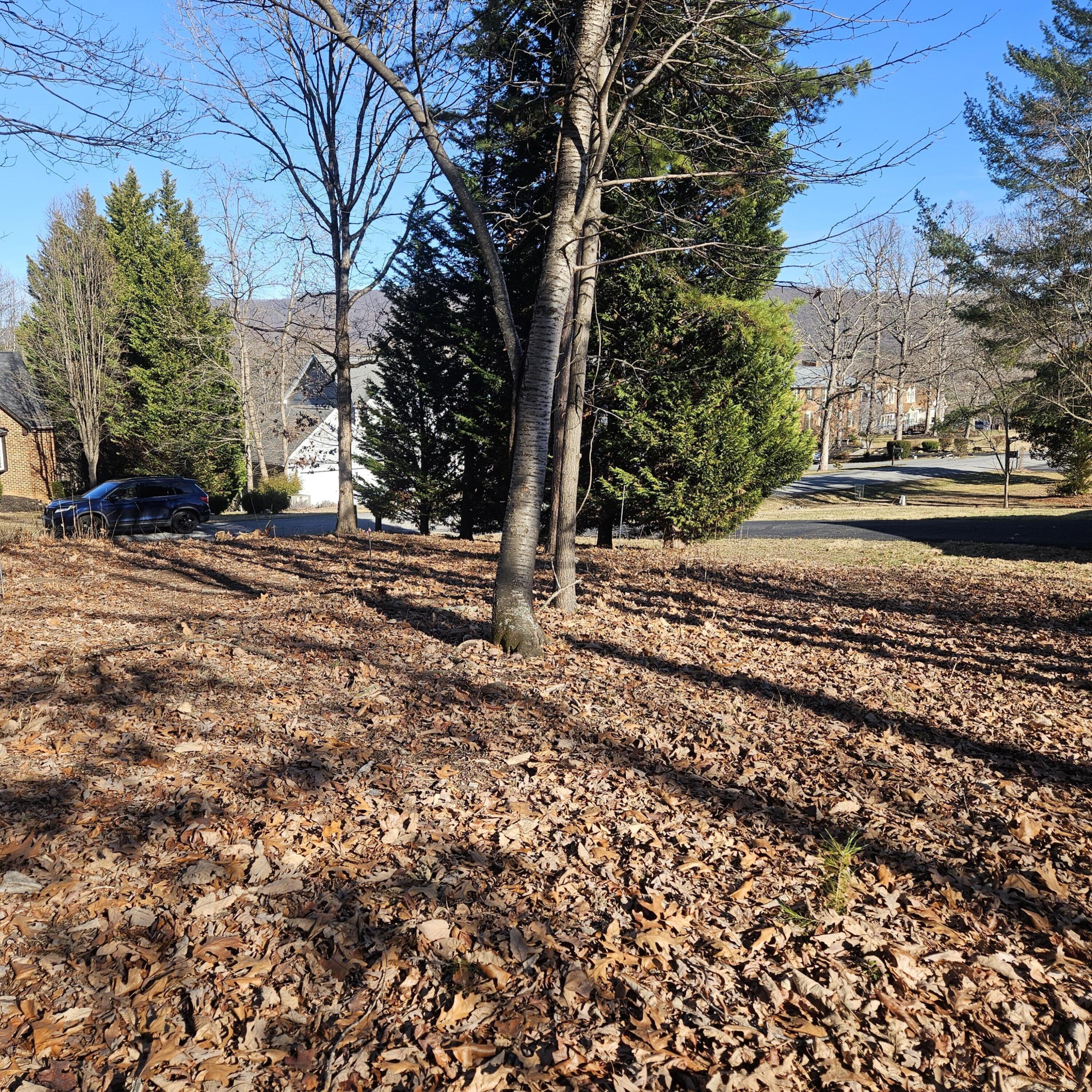 Lot 59 Macgregor Drive Blue Ridge, VA 24064 - Photo 4 of 5 a view of a backyard of the house